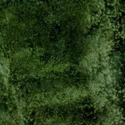 Satellite imagery of Buckeye Lead, US