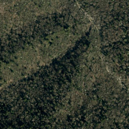Satellite imagery of Bear Ridge, US