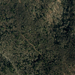 Satellite imagery of Bear Ridge, US