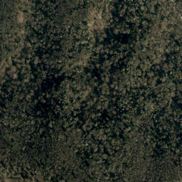 Satellite imagery of Bear Ridge, US