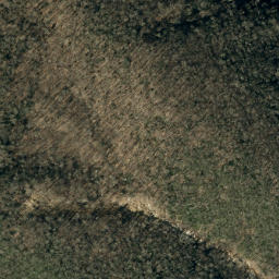 Satellite imagery of Higgins Bald, US