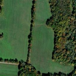 Satellite imagery of Ivy Bluff, US