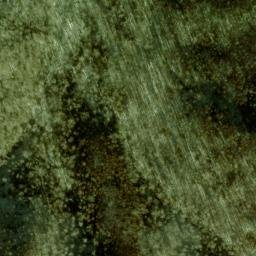 Satellite imagery of Buckeye Lead, US