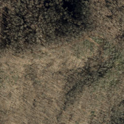 Satellite imagery of Locust Ridge, US