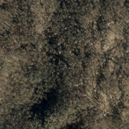 Satellite imagery of Locust Ridge, US