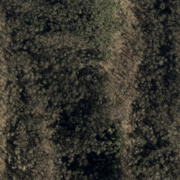 Satellite imagery of Locust Ridge, US