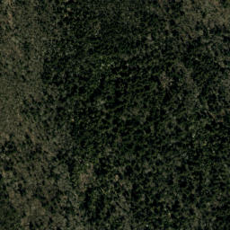 Satellite imagery of Bearwallow Ridge, US