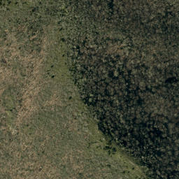 Satellite imagery of Black Ridge, US