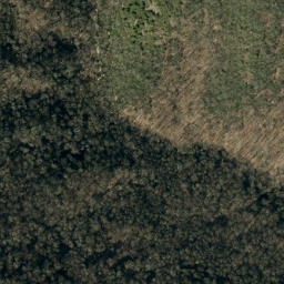 Satellite imagery of Black Ridge, US