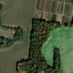 Satellite imagery of Ivy Bluff, US