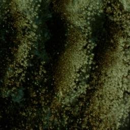 Satellite imagery of Maddron Bald, US
