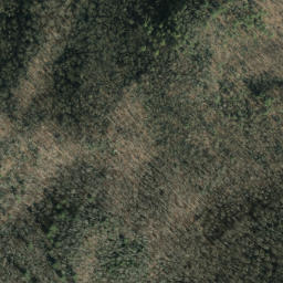 Satellite imagery of Hurricane Ridge, US