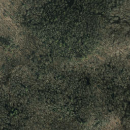 Satellite imagery of Hurricane Ridge, US
