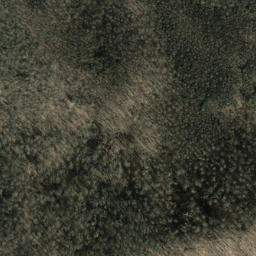 Satellite imagery of Hurricane Ridge, US