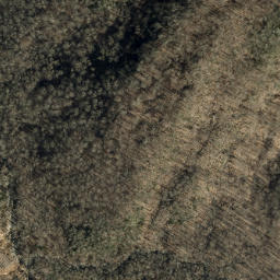 Satellite imagery of Locust Ridge, US