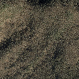 Satellite imagery of Locust Ridge, US