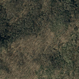 Satellite imagery of Lost Cove Ridge, US