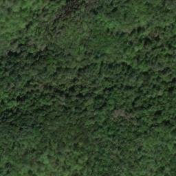 Satellite imagery of Rains Ridge, US