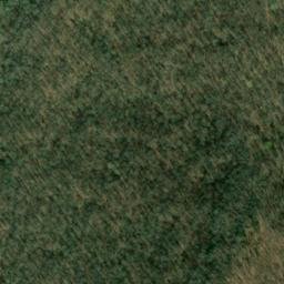 Satellite imagery of Haston Point, US