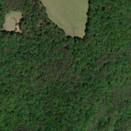 Satellite imagery of Guy Mine, US