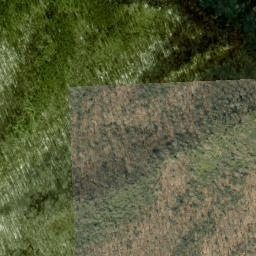 Satellite imagery of Maddron Bald, US