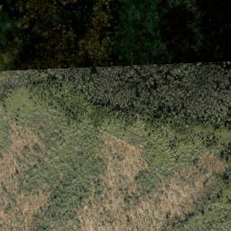 Satellite imagery of Maddron Bald, US