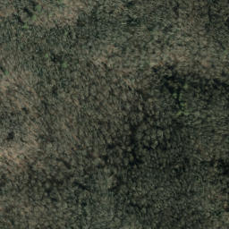 Satellite imagery of Hurricane Ridge, US