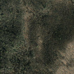 Satellite imagery of Hurricane Ridge, US
