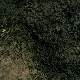 Satellite imagery of Bearwallow Ridge, US