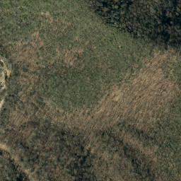 Satellite imagery of Lost Cove Ridge, US