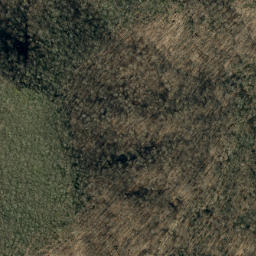 Satellite imagery of Lost Cove Ridge, US