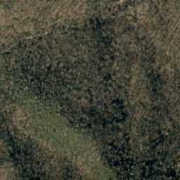 Satellite imagery of Lost Cove Ridge, US