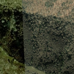 Satellite imagery of Maddron Bald, US