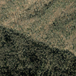 Satellite imagery of Maddron Bald, US