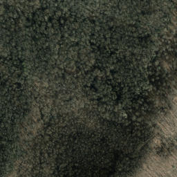 Satellite imagery of Hurricane Ridge, US