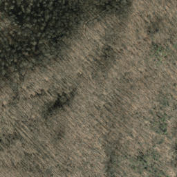 Satellite imagery of Hurricane Ridge, US