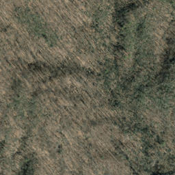 Satellite imagery of Hurricane Ridge, US