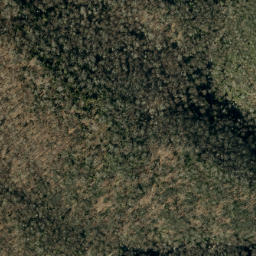 Satellite imagery of Buncombe Horse Range Ridge, US