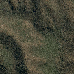 Satellite imagery of Lost Cove Ridge, US
