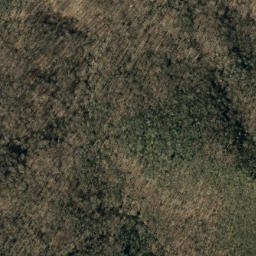 Satellite imagery of Lost Cove Ridge, US