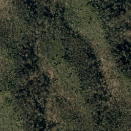 Satellite imagery of Lost Cove Ridge, US