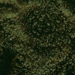 Satellite imagery of Greenbrier Pinnacle, US