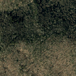 Satellite imagery of Buncombe Horse Range Ridge, US