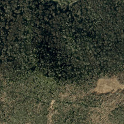 Satellite imagery of Buncombe Horse Range Ridge, US