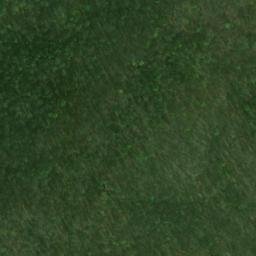 Satellite imagery of Snow Ridge, US