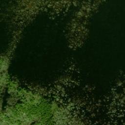 Satellite imagery of Cat Stairs, US
