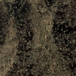 Satellite imagery of Sprucepine Ridge, US