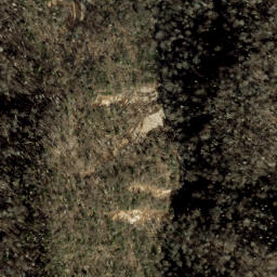 Satellite imagery of Sprucepine Ridge, US
