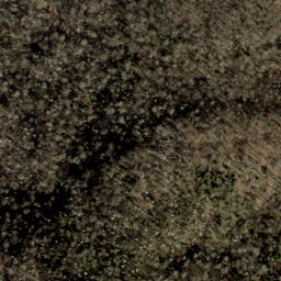 Satellite imagery of Sprucepine Ridge, US