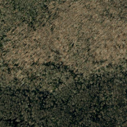 Satellite imagery of Buncombe Horse Range Ridge, US